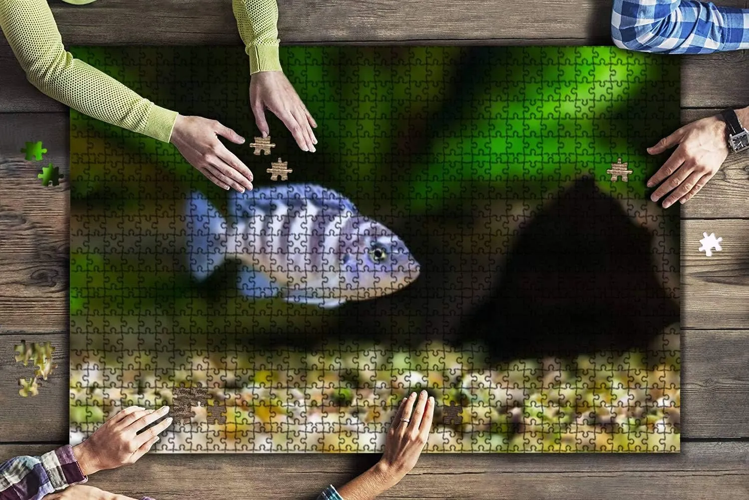 1000 Piece Kenyi Cichlid maylandia lombardoi Aquarium Fish Marine Aquarium Large Piece Jigsaw Puzzles for Adults Educational Toy for Kids Creative Games Entertainment Wooden Puzzles Home Decor