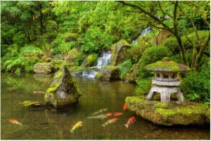 1000 Piece Portland Japanese Garden Pond with koi Fish carp Japanese Kois and Large Piece Jigsaw Puzzles for Adults Educational Toy for Kids Creative Games Entertainment Wooden Puzzles Home Decor