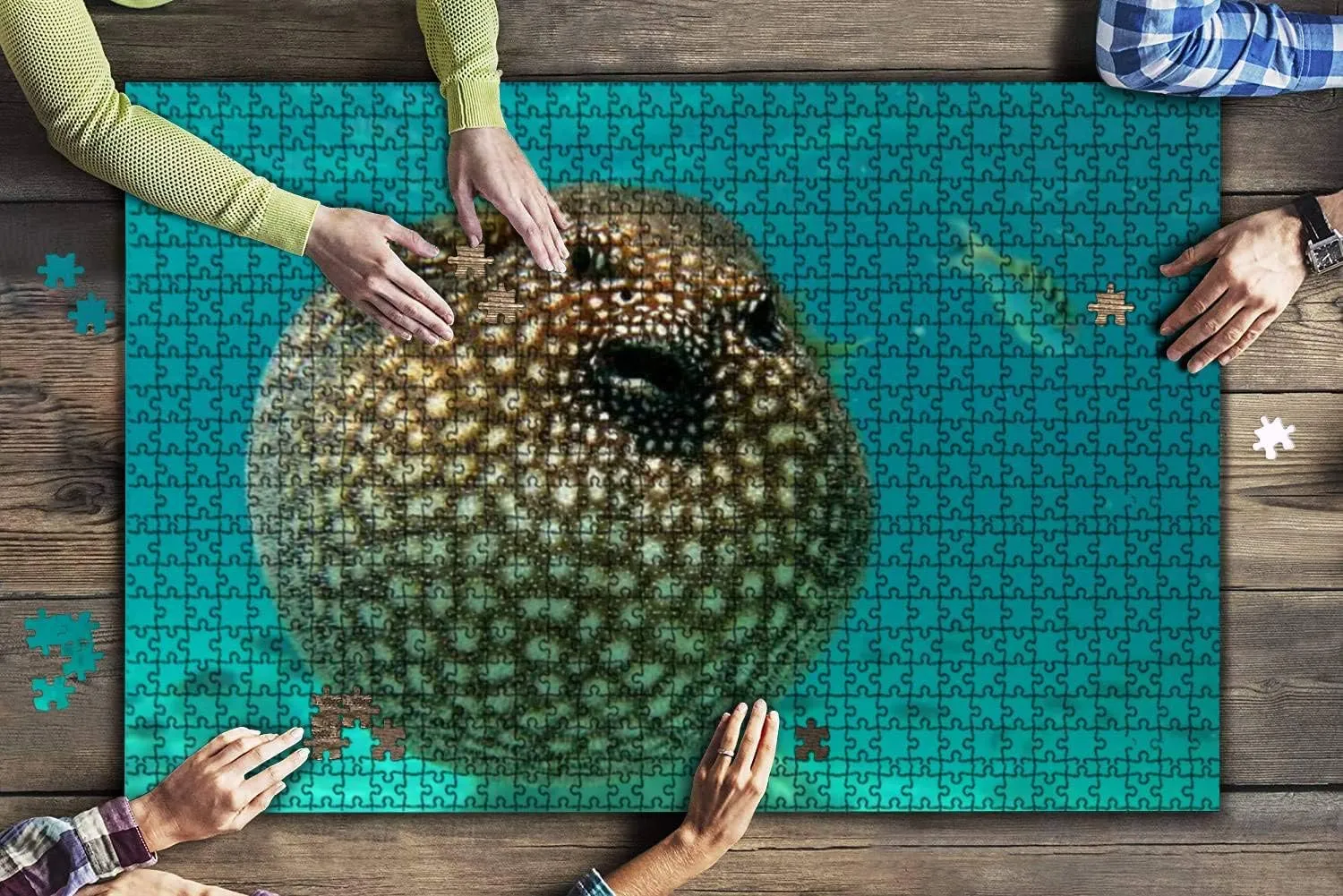 1000 Piece Puffer Fish Marine Aquarium Fishes Stock Pictures, Royalty Free Large Piece Jigsaw Puzzles for Adults Educational Toy for Kids Creative Games Entertainment Wooden Puzzles Home Decor