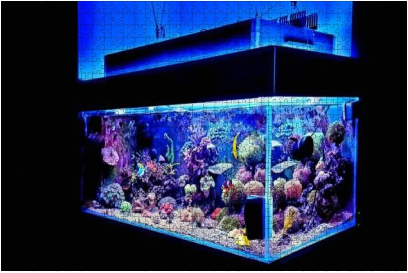 1000 Piece Saltwater Coral Reef Aquarium Fish Tank Marine Aquarium Fishes Stock Large Piece Jigsaw Puzzles for Adults Educational Toy for Kids Creative Games Entertainment Wooden Puzzles Home Decor