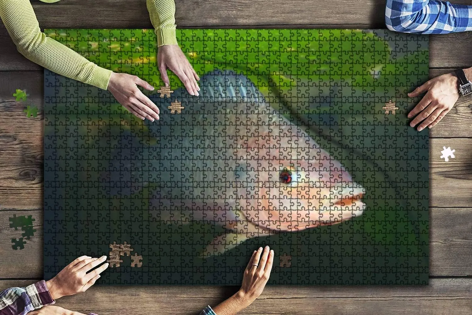 1000 Piece The tilapia Fish oreochromis mossambicus Marine Aquarium Fishes Large Piece Jigsaw Puzzles for Adults Educational Toy for Kids Creative Games Entertainment Wooden Puzzles Home Decor