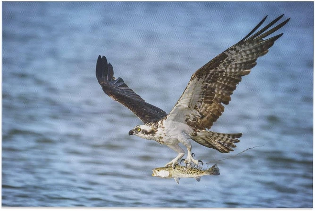 500 Piece Jigsaw Puzzles Amazing Osprey Falcon River Fishing Wooden Puzzle for Adults and Kids Development Toys Games Gift
