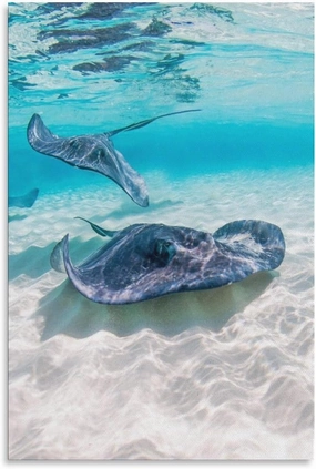 500 Piece Jigsaw Puzzles Cayman Island Two Stingray Fish Wooden Puzzle for Adults and Kids Development Toys Games Gift