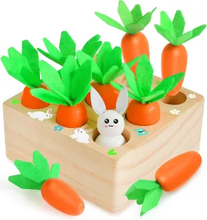 Baby Easter Toys, Montessori Toys for Toddlers, Easter Gifts for Babies, Basket Stuffers Harvest Game Wooden Toy, Educational Shape Sorting Matching Toy for Toddler Fine Motor Skill Development