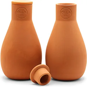 Classic Olla Watering Pot with Lid - Terracotta Self Watering Irrigation up to 1 ft in Diameter for Gardens, Raised Beds, and Small Pots - Vacation Friendly - Mini - Set of 2