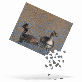 Eered Grebe Jigsaw puzzle