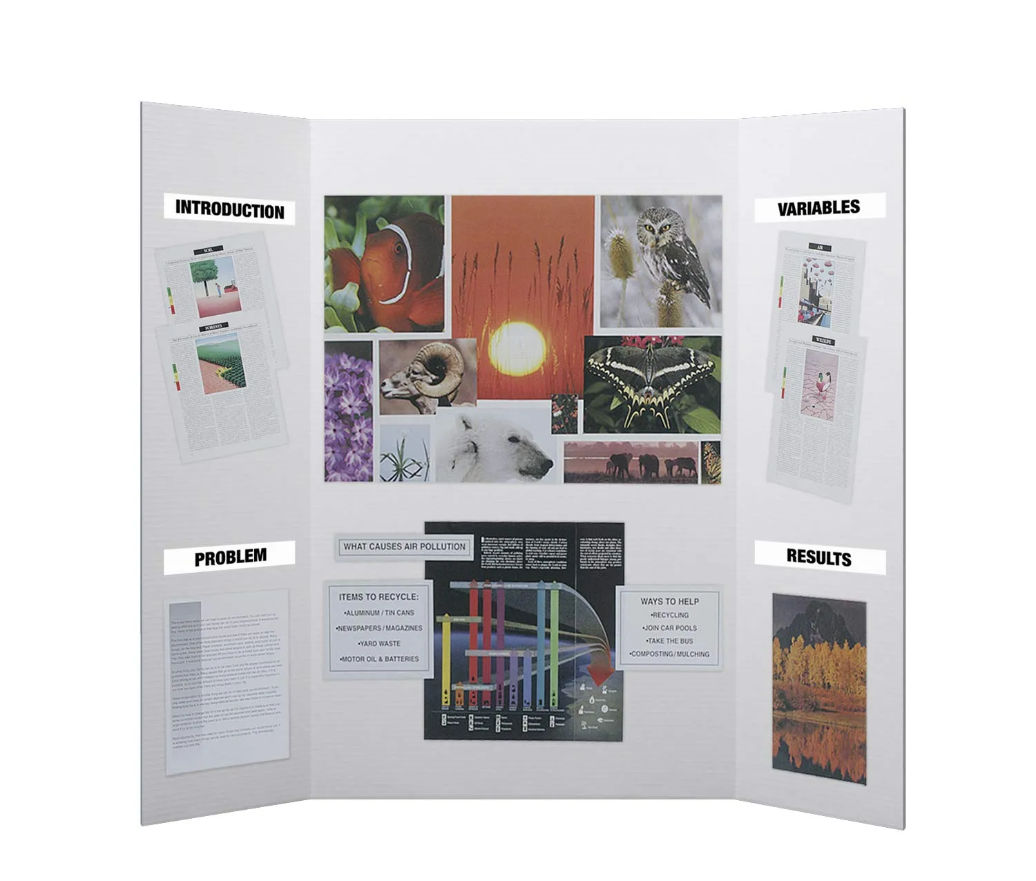 Flipside Products 36” x 48” Project Boards for Presentations, Science Fair, School Projects, Event Displays and Trifold Picture Board, Proudly Made in USA - Clay White - 10 Pack