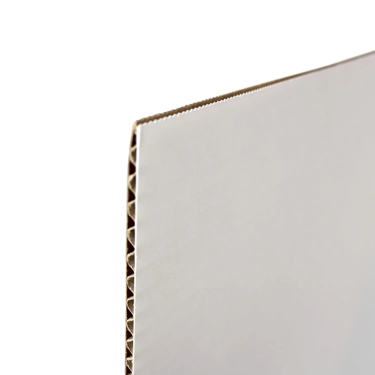 Flipside Products 36” x 48” Project Boards for Presentations, Science Fair, School Projects, Event Displays and Trifold Picture Board, Proudly Made in USA - Clay White - 10 Pack