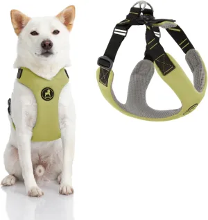 Gooby Convertible Z Harness - Scratch Resistant Outdoor Harness with Shock Absorption - Ergonomic Harness for Small or Medium Dogs