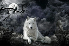 Jigsaw Puzzle 1000 Piece Crow and White Wolf Adult Puzzle Kids Puzzle Wooden Puzzle Toy DIY Kit Home Decor 75x50cm