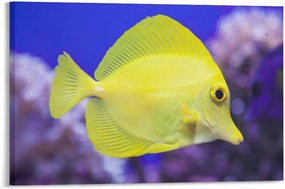 Jigsaw Puzzle 500 Piece Adult Puzzle - Tropical Yellow Tang Fish Nice Puzzle - Christmas Kids Intelligence Game Toy Family Friend Gift