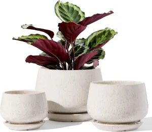 LE TAUCI Plant Pots, 4.1 5.1 6.5 inch, Set of 3, Ceramic Planters with Drainage Hole and Saucer, Indoor Flower Pot with Hole Mesh Pad, Gifts for Mom, Reactive Glaze Beige