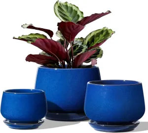 LE TAUCI Plant Pots, 4.1 5.1 6.5 inch, Set of 3, Ceramic Planters with Drainage Hole and Saucer, Indoor Flower Pot with Hole Mesh Pad, Gifts for Mom, Sapphire Blue