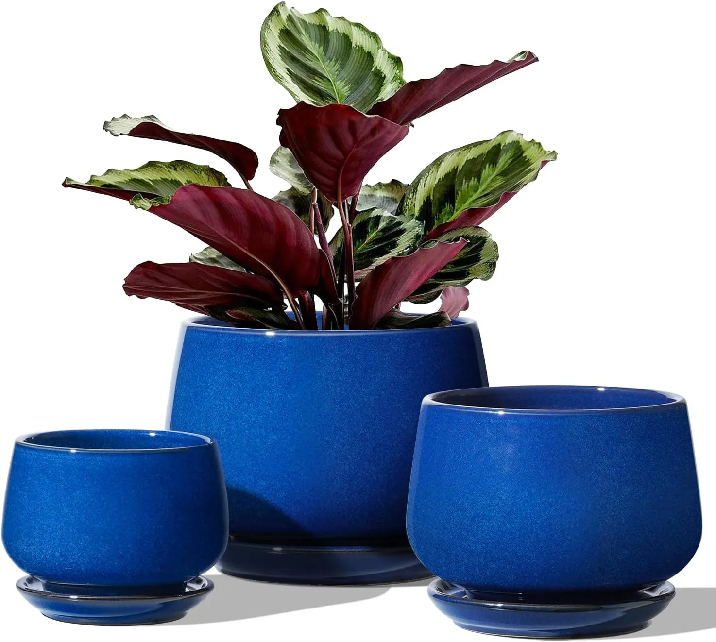 LE TAUCI Plant Pots, 4.1 5.1 6.5 inch, Set of 3, Ceramic Planters with Drainage Hole and Saucer, Indoor Flower Pot with Hole Mesh Pad, Gifts for Mom, Sapphire Blue