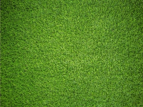 Natural Grass - Impuzzible