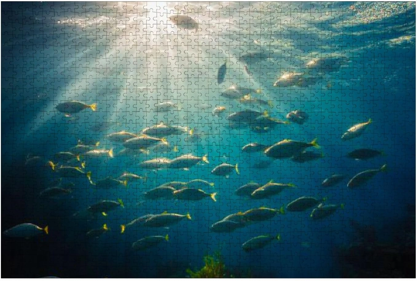 Puzzles for Adults 1000 Pieces Underwater Sunlight Fish Natural Scene Wooden Jigsaw Puzzles Challenging Fun Educational Family Games Kid Toys Art Work Gift Home Decor