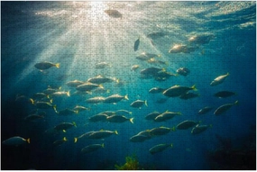 Puzzles for Adults 1000 Pieces Underwater Sunlight Fish Natural Scene Wooden Jigsaw Puzzles Challenging Fun Educational Family Games Kid Toys Art Work Gift Home Decor