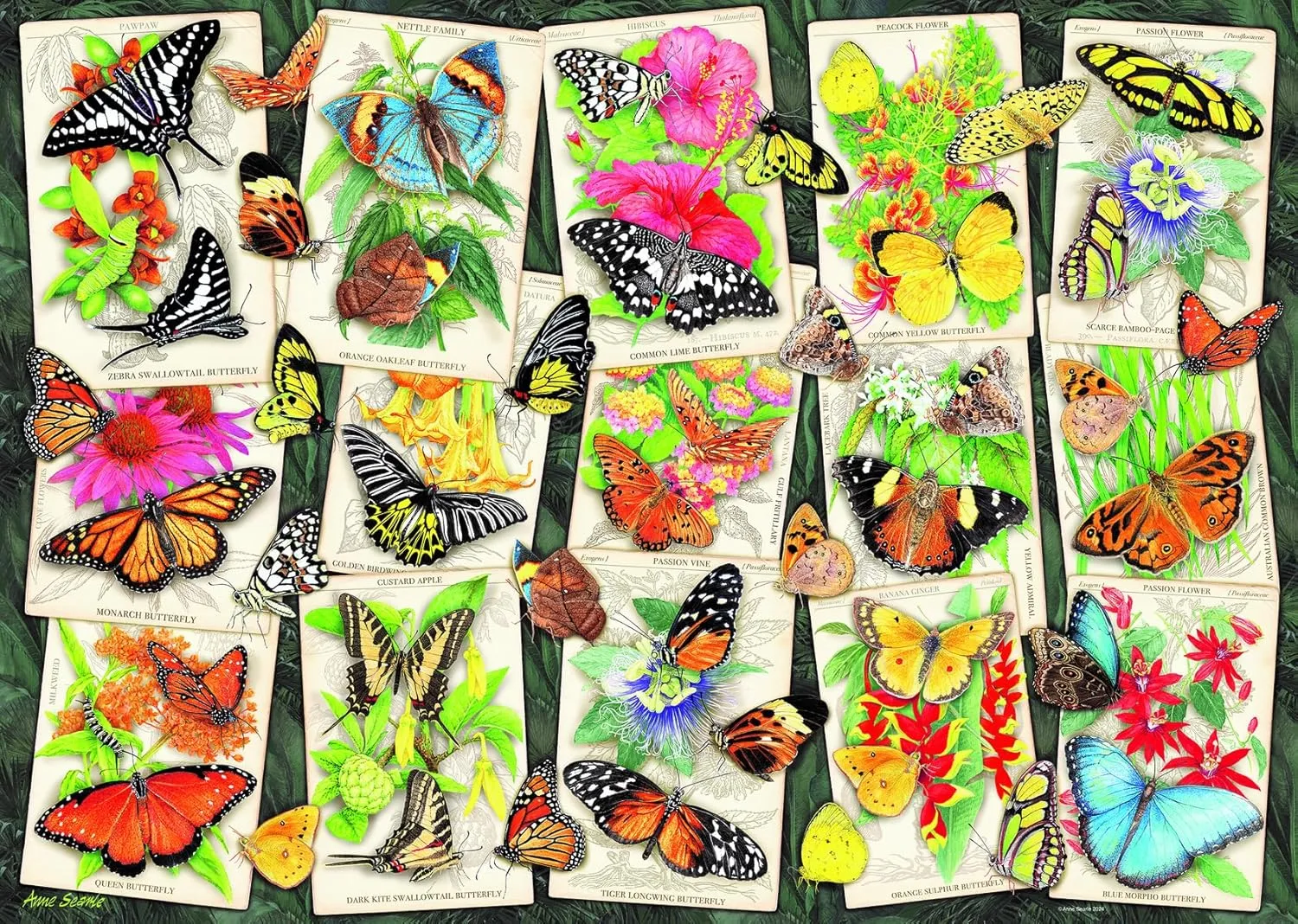 Ravensburger Tropical Butterflies 1000 Piece Jigsaw Puzzle |Every Piece Unique| Durable, Vibrant Imagery | Eco-Friendly Materials