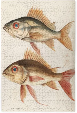 Stunning Fish Anatomy，1000 Piece Adults Wooden Jigsaw Puzzle，Illustration of Two Fish with Clear Lines and Natural Colors，Creative Play & Holiday Party Gifts Artwork Wall Home Decor