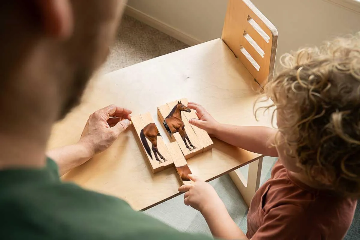Wooden Animal Chunky Puzzles for Toddlers 2  Years - Montessori 4 in 1 Farm Animal Block Puzzle Toy