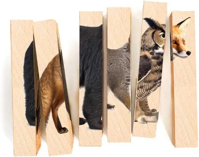 Wooden Animal Chunky Puzzles for Toddlers 2  Years - Montessori 4 in 1 Woodland Creature Block Puzzle Toy