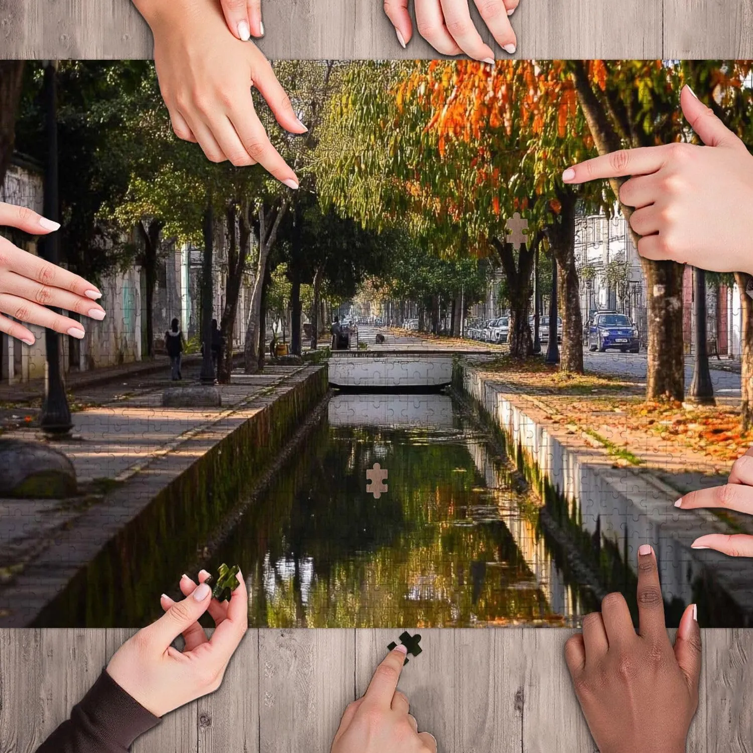 Wooden Jigsaw Puzzles for Adults 1000 Pieces City Brazil Urban Waterway Number Bridges Trees City Perspective Fun and Challenging Board Puzzles Large Educational Game Kids Toys Gift Home Decor