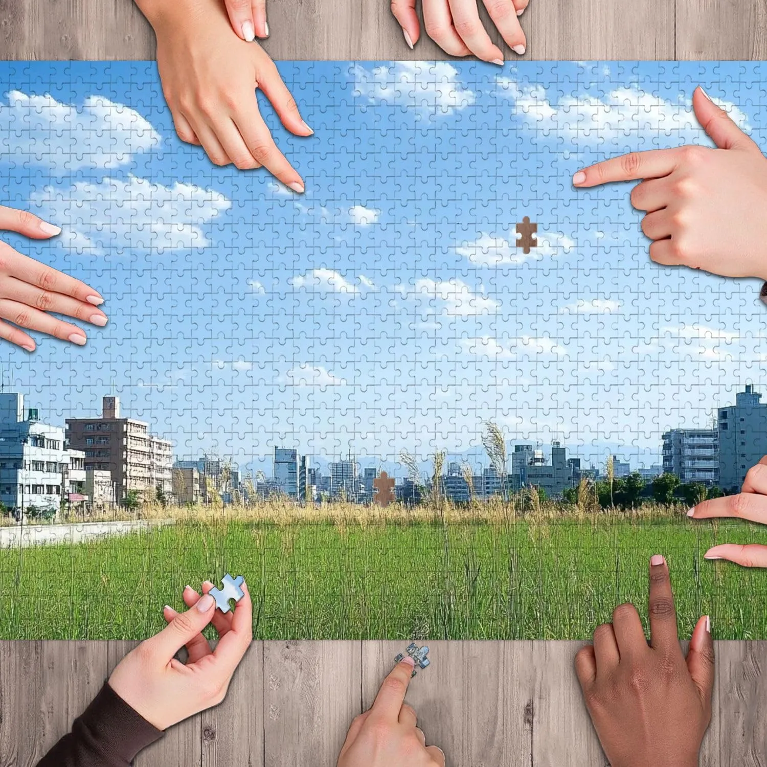 Wooden Jigsaw Puzzles for Adults 1000 Pieces Grassland City Fun and Challenging Board Puzzles Large Educational Game Kids Toys Gift Home Decor