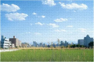 Wooden Jigsaw Puzzles for Adults 1000 Pieces Grassland City Fun and Challenging Board Puzzles Large Educational Game Kids Toys Gift Home Decor