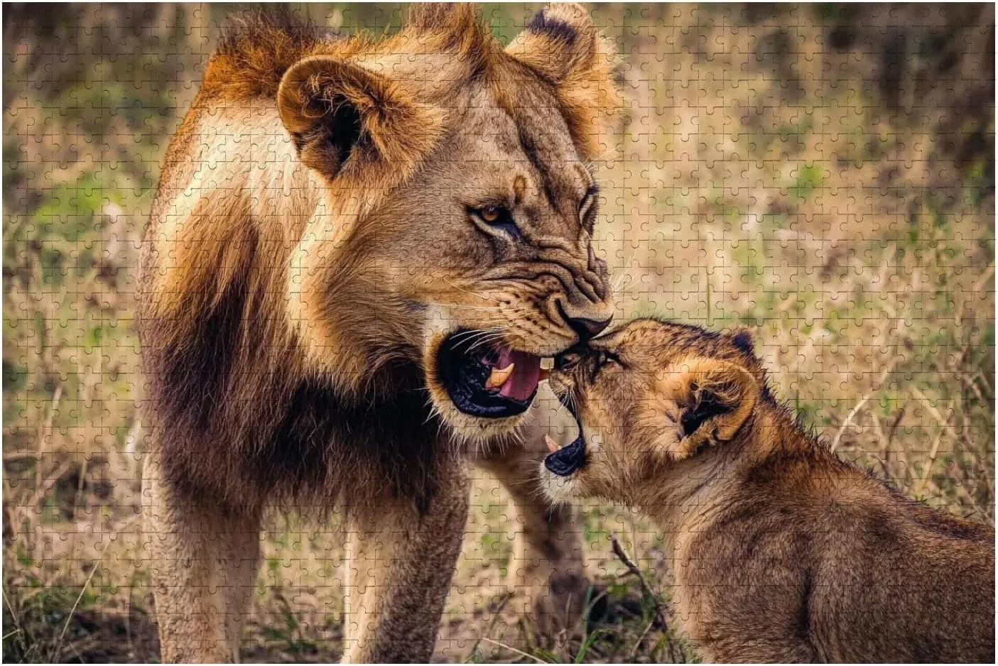 Wooden Jigsaw Puzzles for Adults 1000 Pieces Lion Lioness Animals Savanna Grassland Wilderness Maasai Mara National Fun and Challenging Board Puzzles Large Educational Game Kids Toys Gift Home Decor