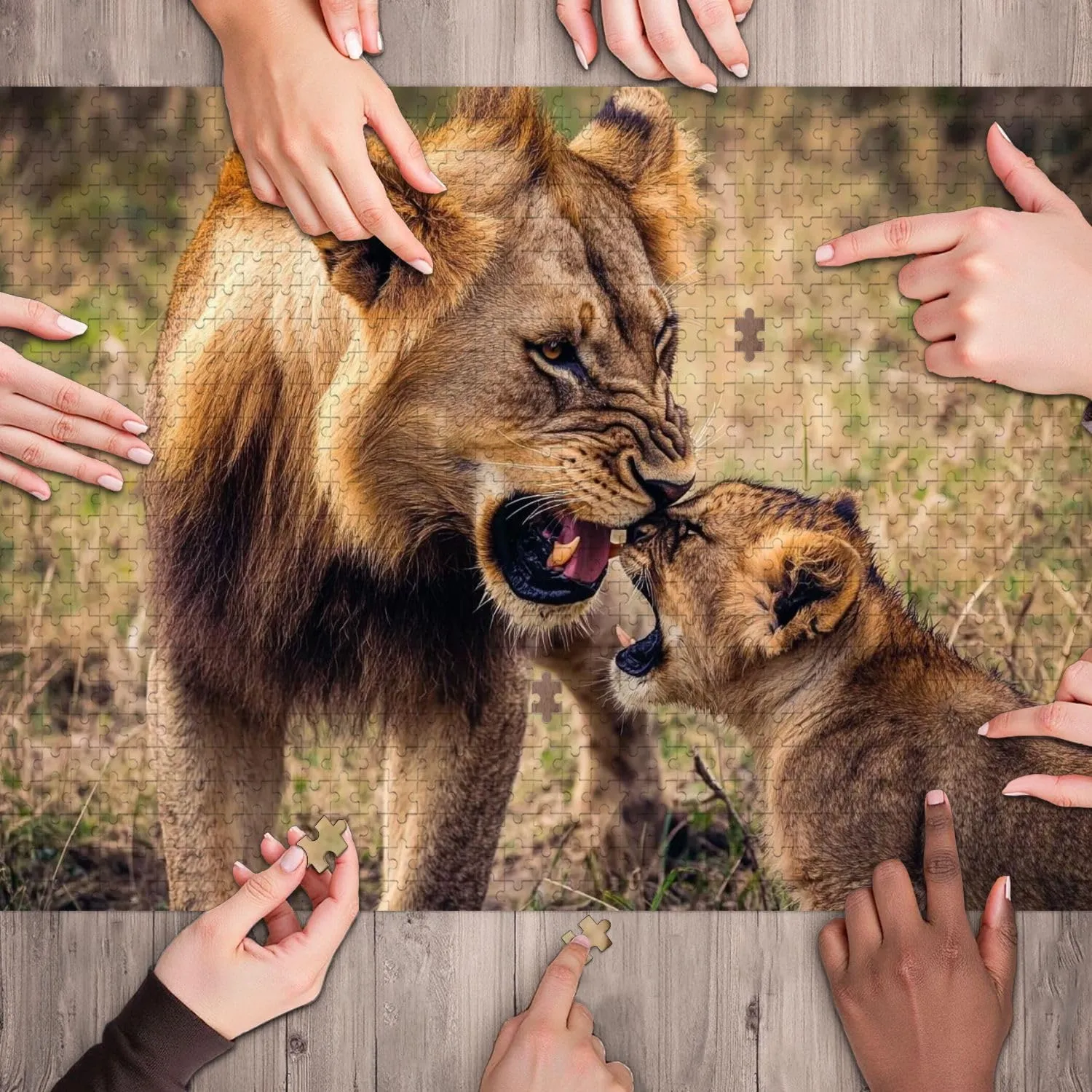 Wooden Jigsaw Puzzles for Adults 1000 Pieces Lion Lioness Animals Savanna Grassland Wilderness Maasai Mara National Fun and Challenging Board Puzzles Large Educational Game Kids Toys Gift Home Decor