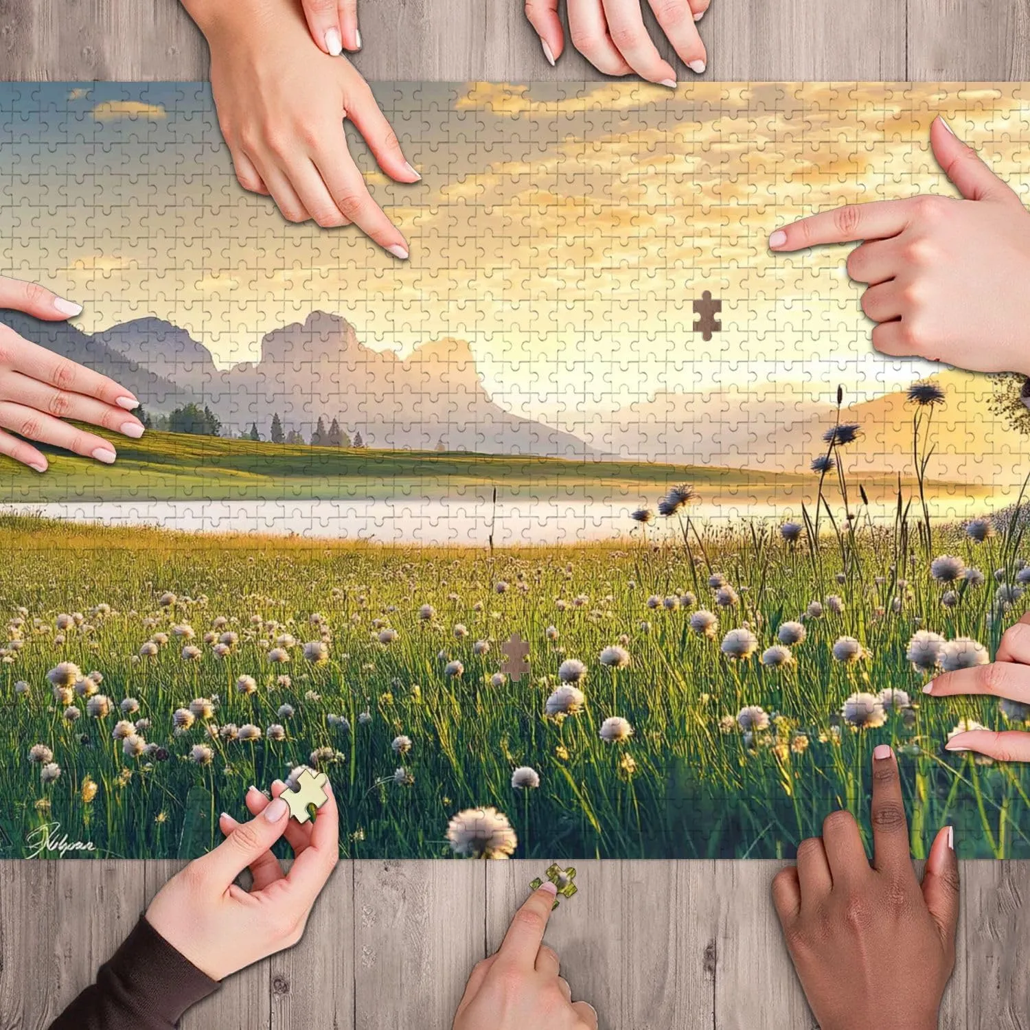 Wooden Jigsaw Puzzles for Adults 1000 Pieces View Seiser Alpe di Siusi Italian Biggest Alpine Meadows Dolomites Fun and Challenging Board Puzzles Large Educational Game Kids Toys Gift Home Decor