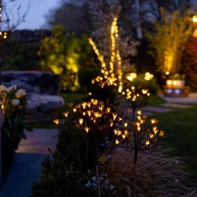 x12 Wild Fennel Lights